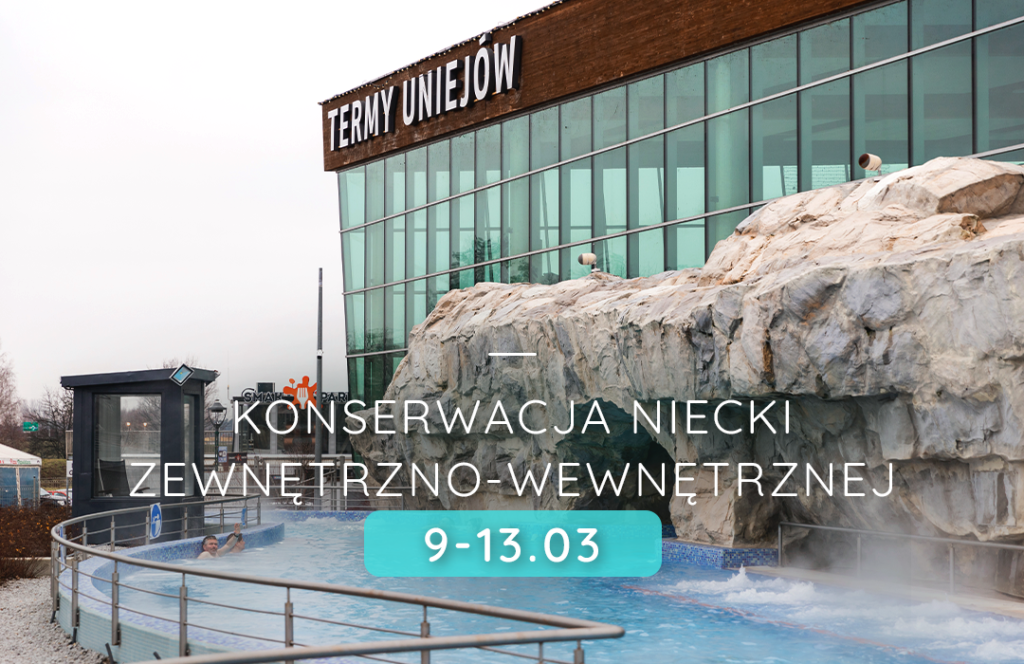 Przerwa techniczna niecki zewnętrzno-wewnętrznej